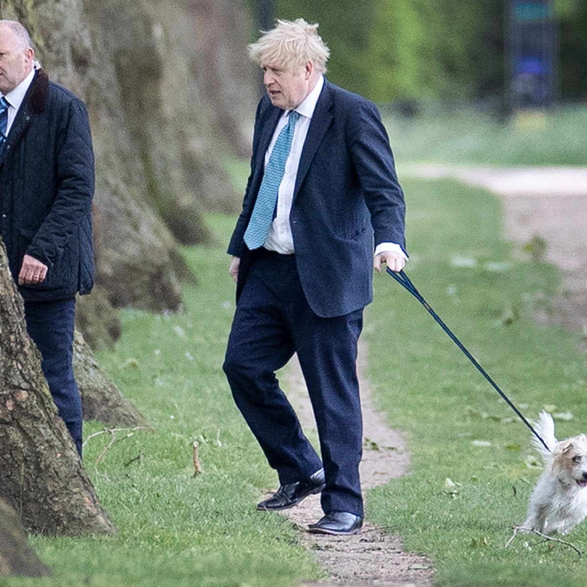 I Ve Zoomed And I Ve Dog Groomed And I Still Don T Know How To Stay Alert John Crace Uk News The Guardian