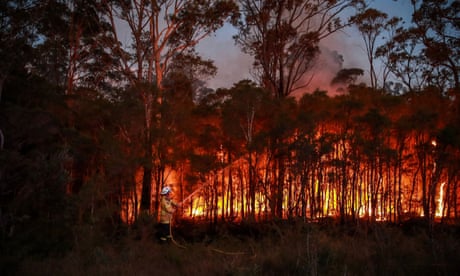 A NSW Rural Fire Service firefighter attempt to extinguish a bush fire at West Wallsend on December 14, 2023 in Newcastle, Australia
