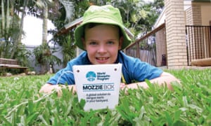Children from Townsville took part in the project, helping to release the infected mosquitoes into their breeding areas. 1280.jpg?w=300&q=55&auto=format&usm=12&f