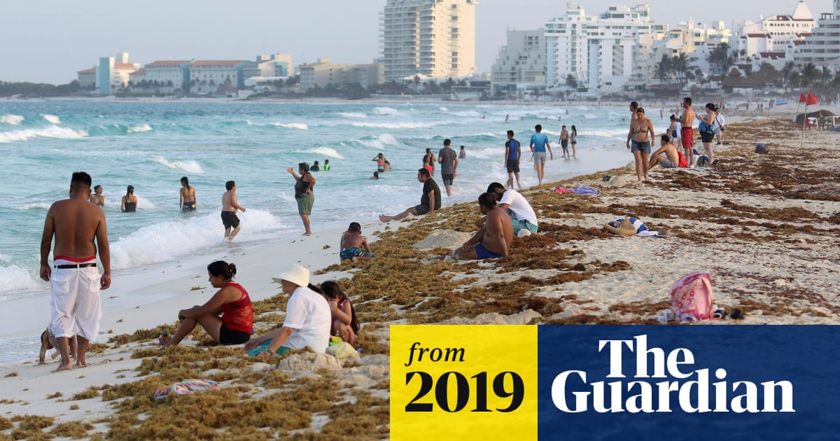 Seaweed Invasion Threatens Tourism In Mexico S Beaches As Problem Worsens Mexico The Guardian