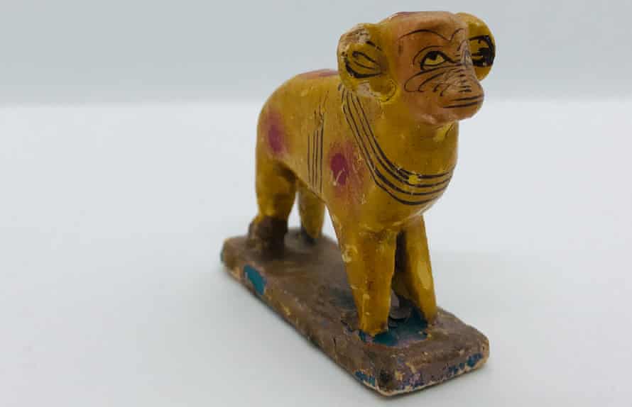 tiger lamb