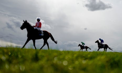 Talking Horses: Walhaan can end wait for win in Cambridgeshire Handicap ...