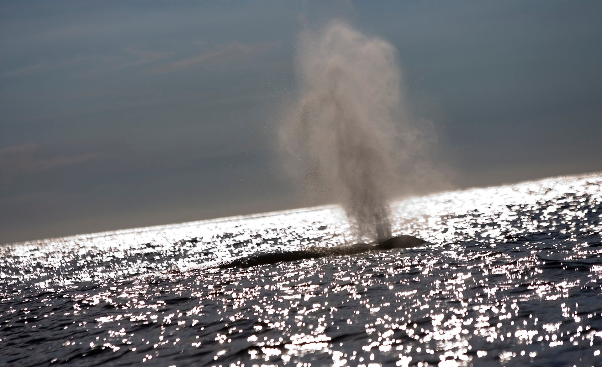 Source: Photo: Paul Hilton/Conservation International