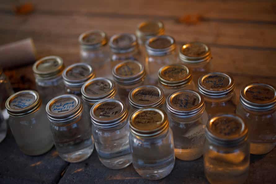 Bonnie Pauze montre des pots Mason d'eau provenant du puits artésien de sa ferme à Tiny, en Ontario, en octobre 2021.