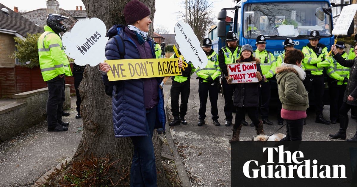 Sheffield council pauses tree-felling scheme after criticism | UK news | The Guardian
