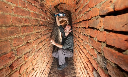Dominic Binney in the newly discovered Tudor sewer system underneath Wolf Hall.