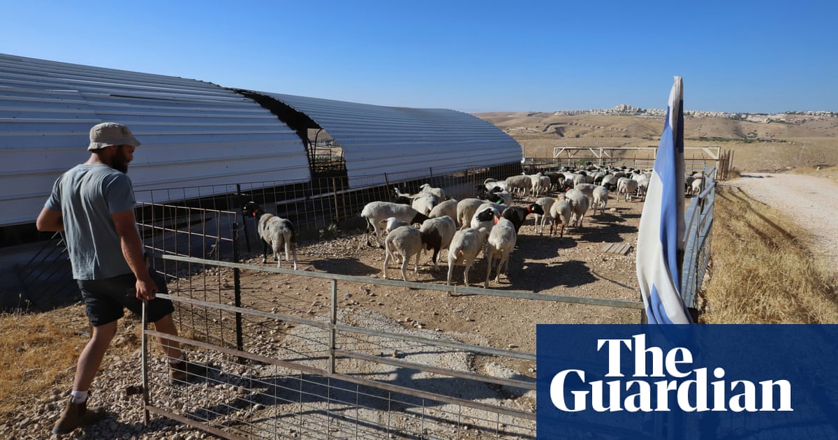 ‘The land beyond the road is forbidden’: Israeli settler shepherds displacing Palestinians by stealth