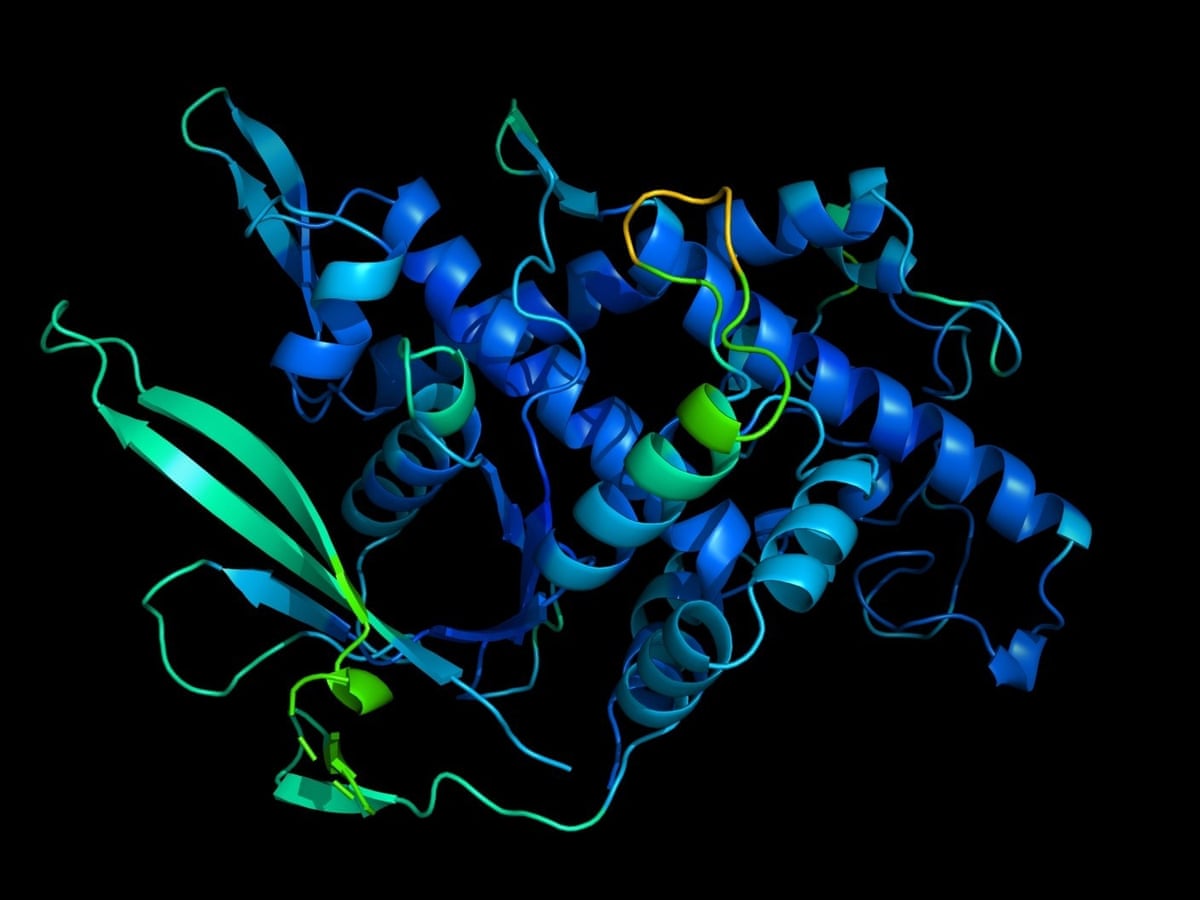 DeepMind AI cracks 50-year-old problem of protein folding | DeepMind | The Guardian
