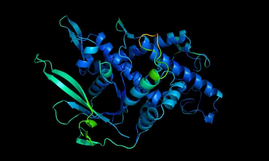 A 3D digital rendering of a protein