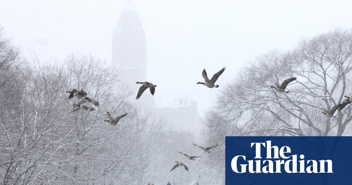 Winter weather disrupts air traffic in New Jersey and New York