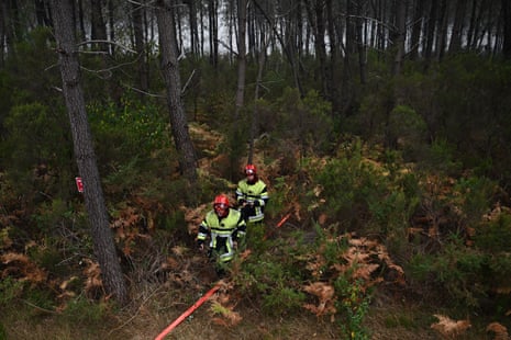 Two firefighters walk through a forest.
