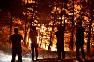 Mersin, Turkey: Flames rage as firefighters tackle a forest blaze.