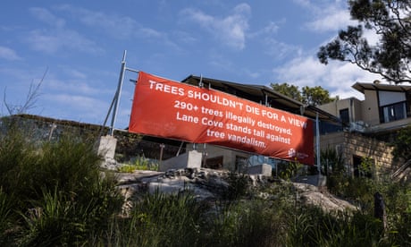 Lane Cove council has placed a large sign on the Sydney foreshore after multiple trees were vandalised.