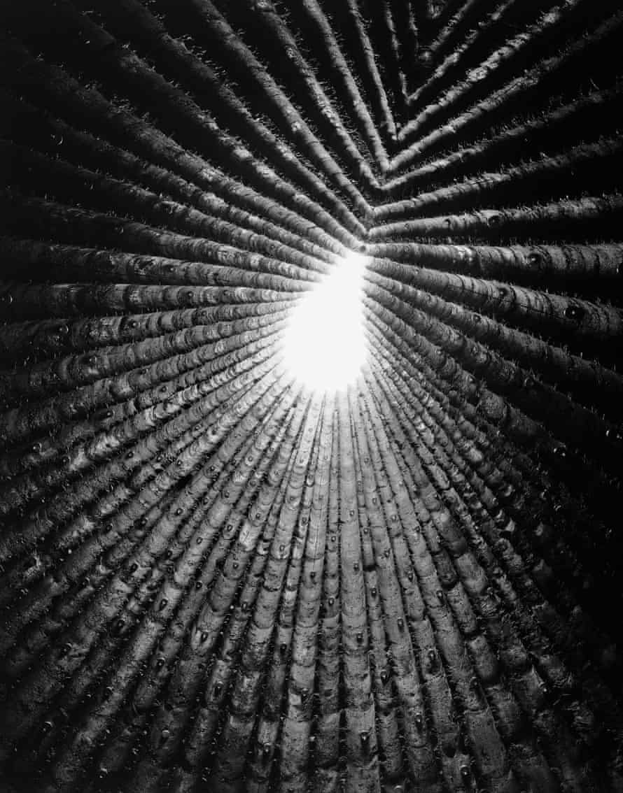 Bruder Klaus Field Chapel, Wachendorf, Germany, 2009, designed by Peter Zumthor