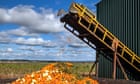 Half of all US food produce is thrown away, new research suggests