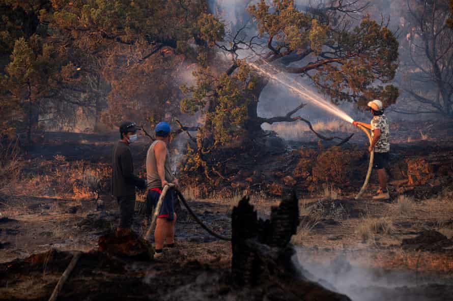 Two men use a hose to extinguish a charred and smoking tree.