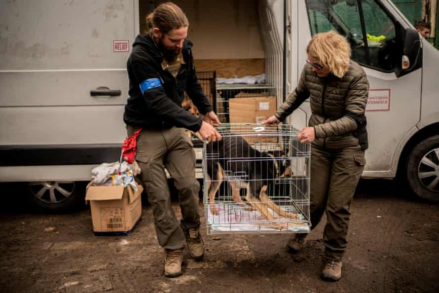 Patrick, a young Danish man of 31, is a volunteer driver with Centaurus Foundation. We travel in a white van loaded with food and animal cages. He came to Ukraine as a volunteer to fight alongside the Ukrainian army. He has military training but lacks battlefield experience, so was rejected. But he did not want to return home and has been helping animals and people between Ukraine and Poland for about a month