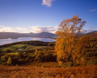 A golden autumn tree overlooks Loch Lomond, surrounded by hills and forested shoreline under a blue sky