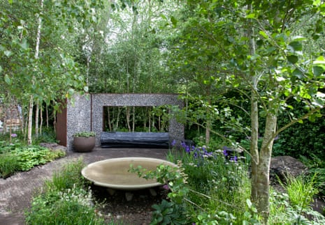 Ula Maria’s Muscular Dystrophy Forest Bathing Garden at Chelsea