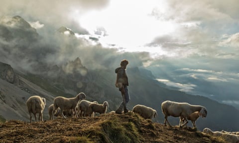 Fabio at dawn with his flock in the Belluno Dolomites, north-east Italy