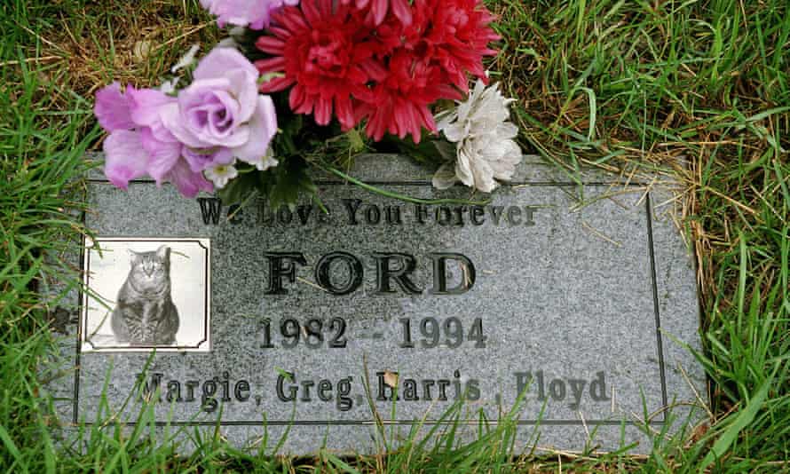 Personalised grave stone for cat named Ford in Chicago, America