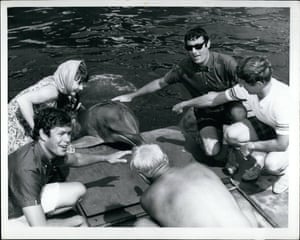 The band meet Lu-Lu the performing Porpoise at Jack Evans’ Pet Porpoise Pool in Tweed Heads, New South Wales, in 1969.
