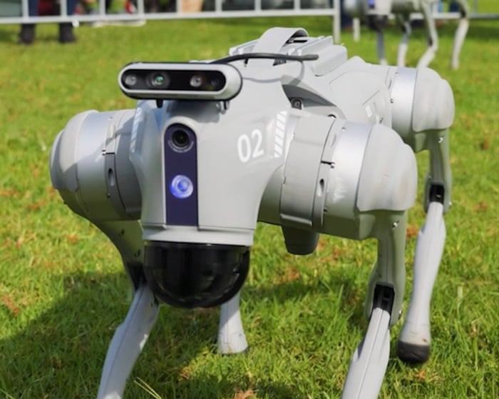 Sheep-herding robot dogs put to the test at Royal Queensland Show – video — image supplied by The Guardian Business's feed