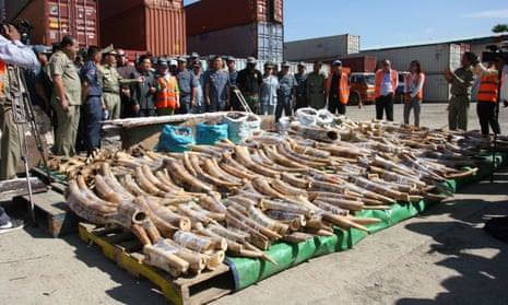 Illegal ivory bound for China.