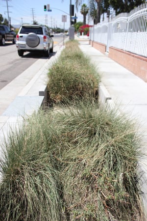 Cooling Goo Sidewalks And Other Strange New Weapons In The War On