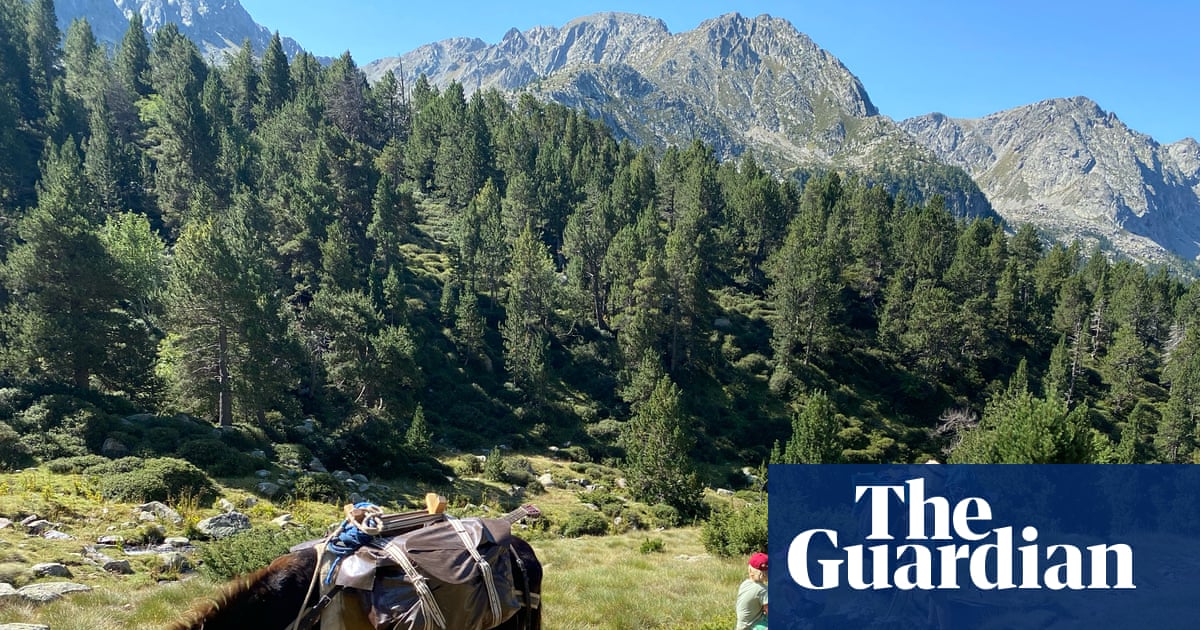 Οικογενειακές διακοπές στην οπλή: πεζοπορία με γάιδαρο στα ισπανικά Πυρηναία