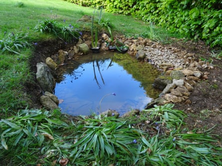 Small garden wildlife pond in garden lawn grass with PVC butyl rubber pond liner, bluebells flowers, rocks and pebbles and gravel