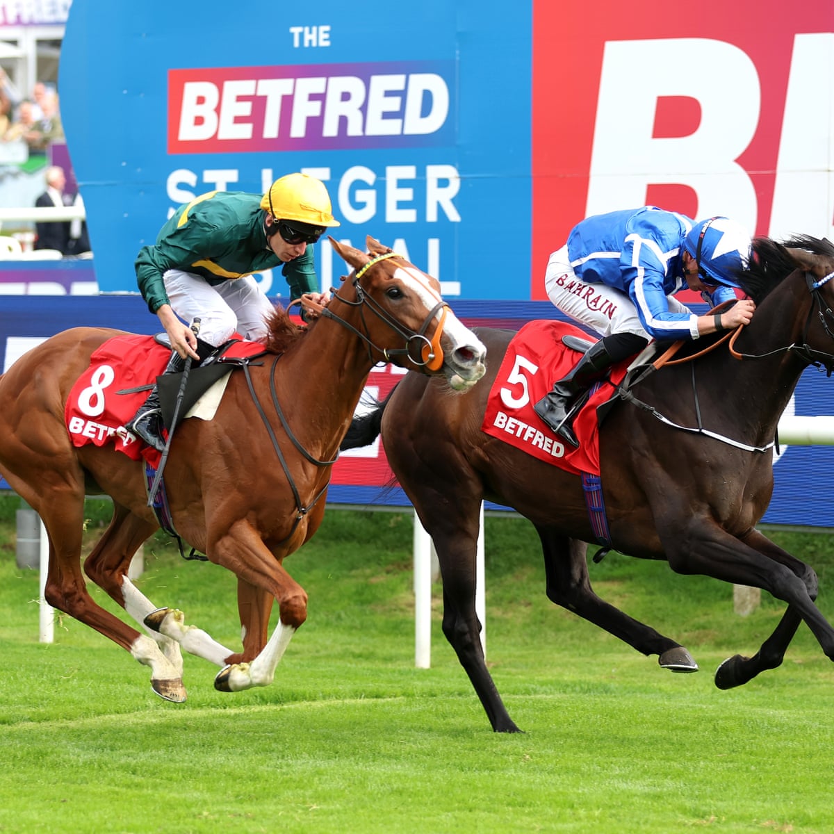 Where to Bet Ashes in Bahrain: Top Spots for Winning Bets