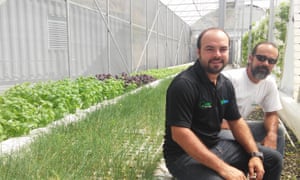 Jorge and Pedro Casas at one of their two greenhouses where they produce organic herbs.