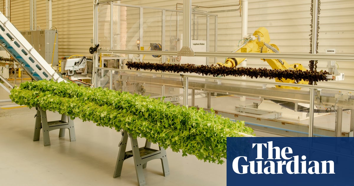 Are indoor vertical farms really ‘future-proofing agriculture’?