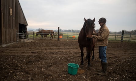 Breanna Owens tends to her horses on her ranch in Los Molinos, Califoria.