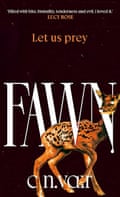 Fawn C.N. Vair