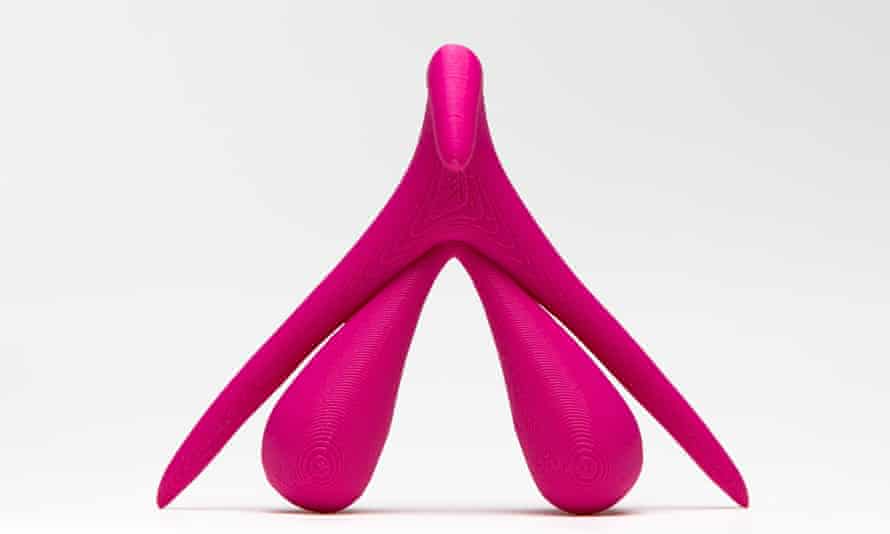 A 3D model of a clitoris.