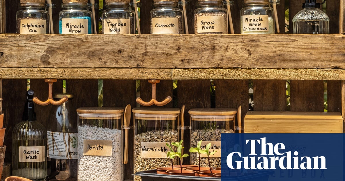 Now is the perfect time to sort out your garden seeds, the Monty Don way