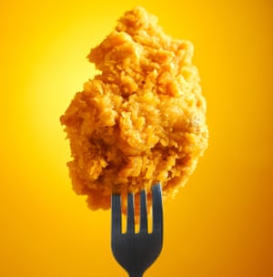 ‘We cook foods in fat because it makes them taste good.’