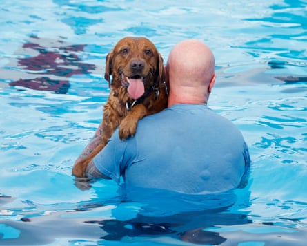 A dog in its owner's arms in the pool