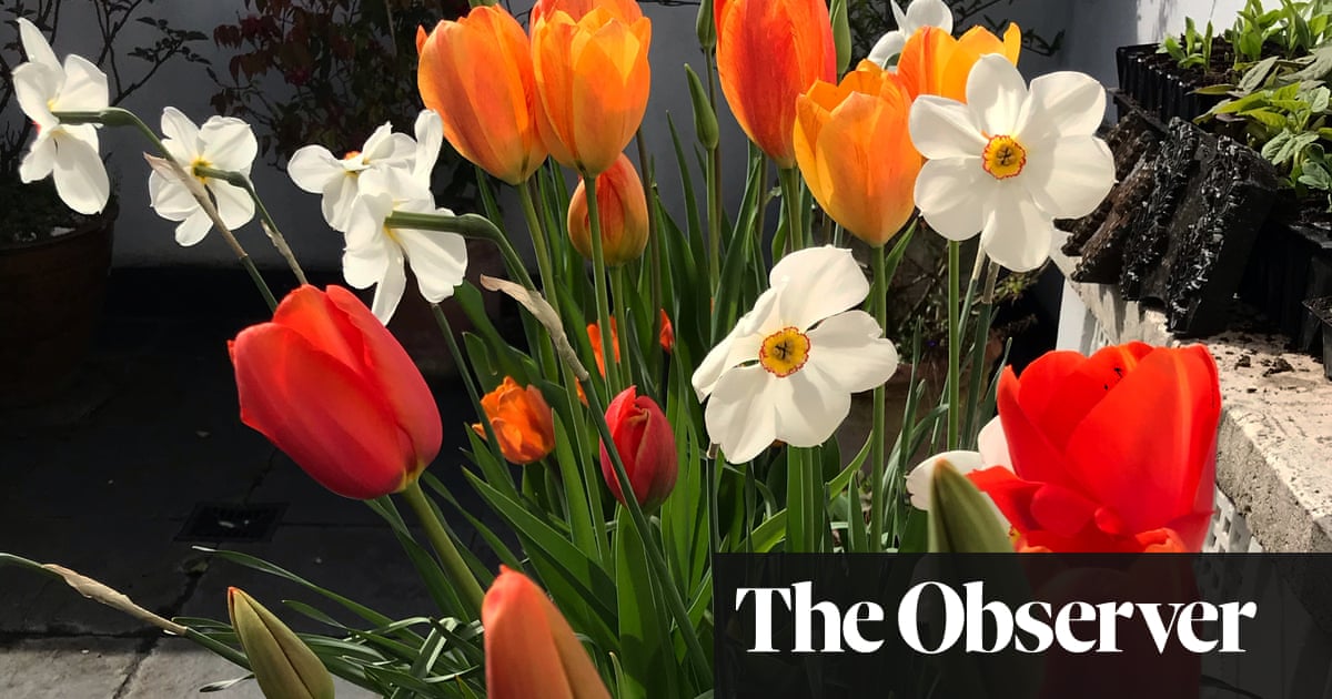 The gardening year slowly gets to its feet