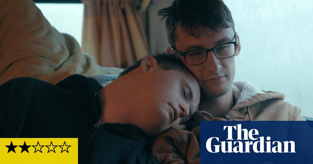 Handsome review – meandering Down’s syndrome road trip