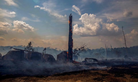 A smouldering remains of the forest destroyed by fire in the Amazon basin at Altamira, Pará state, Brazil.