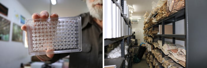 Contando as espécies: como o código de barras do DNA está reescrevendo o livro da vida 9 8058