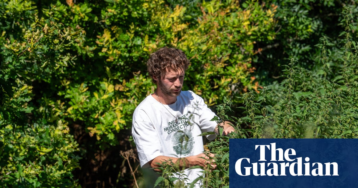 Avoid rare species and only take what you need: how to forage and save money on your food shopping