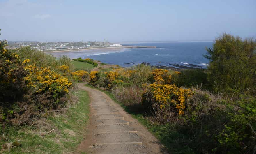A view back towards St Andrews from the coastal path.