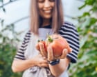 I tried to become a gay tradwife – and failed abysmally | Arwa Mahdawi