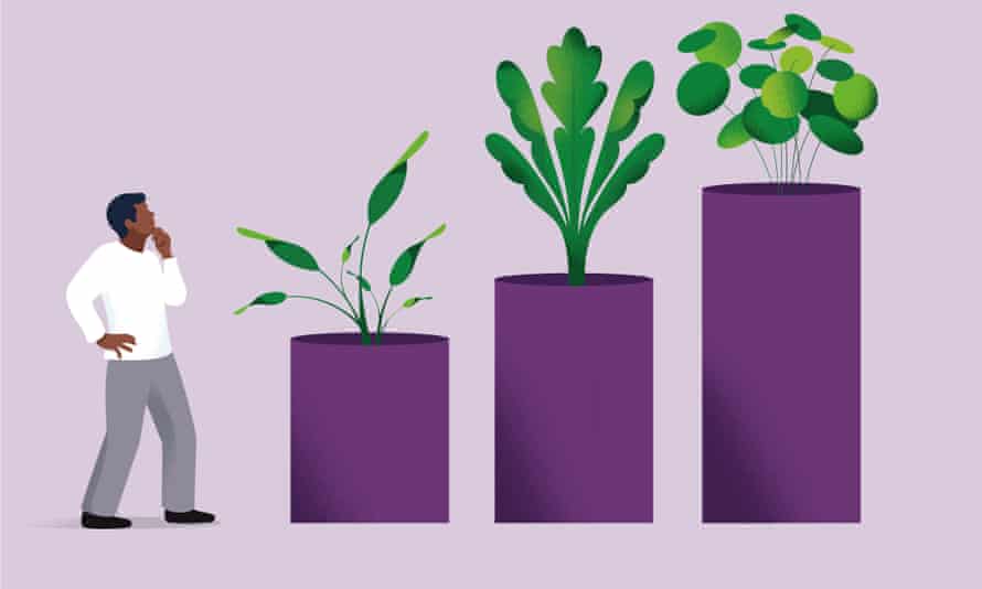 Illustration of plants in increasingly larger pots, resembling bar graph