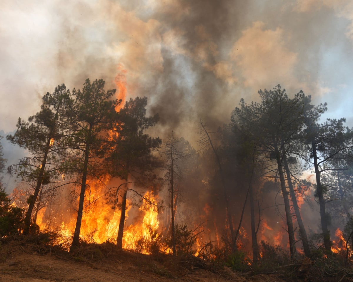 More than 250,000 people flee wildfires in France and Spain | Wildfires | The Guardian