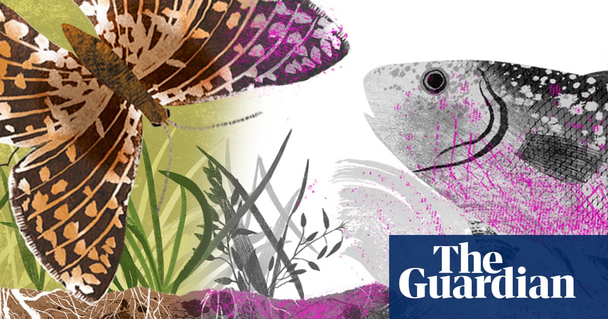 The life of microplastic: how fragments move through plants, insects, animals - and you